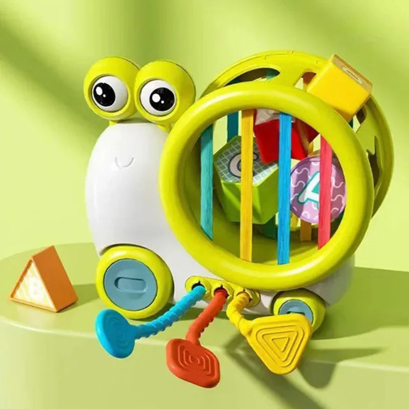 Blocos de classificação sensorial